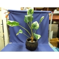 45 In. Artificial Plant With Decorative